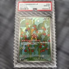 PSA10 ツボツボ AR MEGAのサムネイル