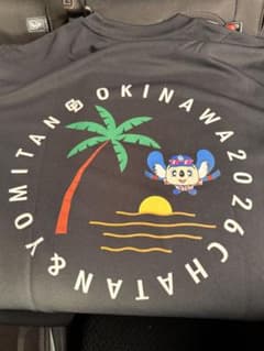 中日ドラゴンズ 沖縄キャンプ限定 ドアラ Tシャツ XLサイズ - メルカリ