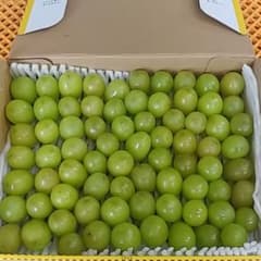 ④　訳ありシャインマスカット 粒　800gのサムネイル
