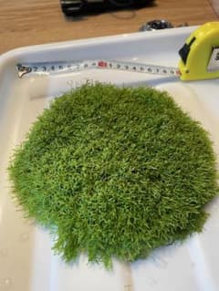 リシア　特大 #1のサムネイル