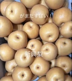 新興梨　5キロのサムネイル