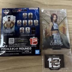 RIZIN ROUND3 KATE LOTUS 아크릴 스탠드