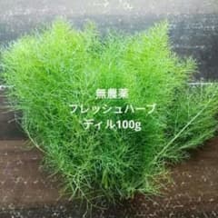 無農薬朝採りフレッシュハーブディル100g強のサムネイル