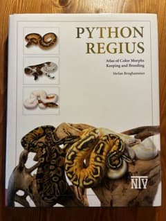 PYTHON REGIUS ボールパイソン 英語版 - メルカリ