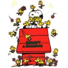 専用‼️  SLY パーカー ★新品未使用のサムネイル