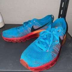 NIKE ナイキ　フライニットマックスのサムネイル