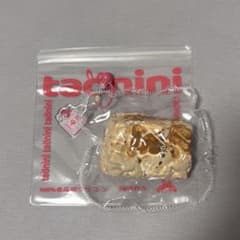 taonini スクイーズ サチマのサムネイル