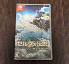 ゼルダの伝説 ティアーズ オブ ザ キングダムのサムネイル