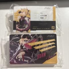 ソラ 空 アークナイツ オペレーターIDパス風アクリルバッジ Vol.10