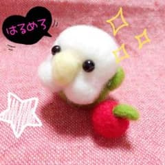 ❇︎ぷにっとインコ❇︎のサムネイル