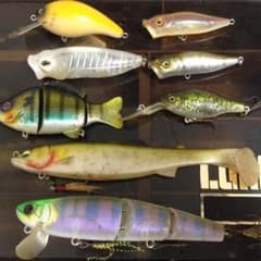 メタニウム様専用のサムネイル