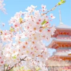 omi様専用ページのサムネイル