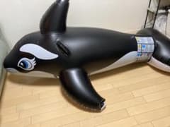 ダブルレイヤード シャチフロート 着ぐるみ - メルカリ