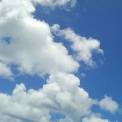 ふくちゃん 様 専用です♪  フラコラ プラセンタ原液のサムネイル