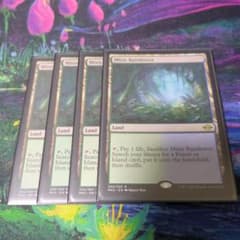 霧深い雨林 Misty Rainforest MTG 4枚のサムネイル