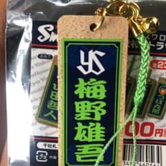 ヤクルトスワローズ梅野選手❣️のサムネイル