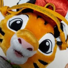 みほ様専用ラジャーパスケースのサムネイル