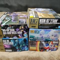 HG MG ガンプラ ドム ズゴック アンクシャ　サラ Gガンダム計5点セット HG MG ガンプラ ドム ズゴック アンクシャ サラ Gガンダム計5点セット
