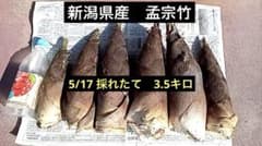 新潟県産 孟宗竹 採れたて ③ - メルカリ