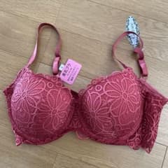 新品美乳ブラのサムネイル