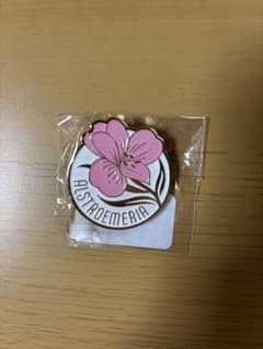 Albemuth SNS風アクリルキーホルダー 明透&存流 セット|mercari 