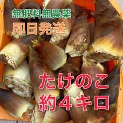 岐阜県産　たけのこ　約４キロ　無肥料・無農薬のサムネイル
