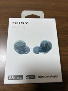 【ワイヤレスイヤホン】SONY WF-C710N ガラスブルーのサムネイル
