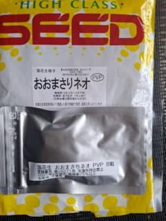＜野菜の種＞おおまさりネオ　８粒　PVP　登録品種　落花生　メーカー大袋を小分けのサムネイル