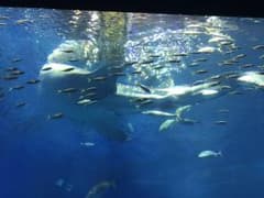 ぽんすさん専用のサムネイル