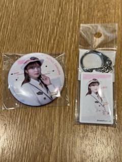 櫻坂46 櫻旅 缶バッジ アクリルキーホルダー 田村保乃 - メルカリ