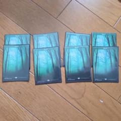 MTG Forest 森/沼/平地 基本土地 22枚まとめセットアンステーブル MTG Forest 森/沼/平地 基本土地 22枚まとめセットアンステーブル