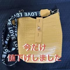 ミニショルダーバッグクロコ型押しのサムネイル