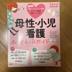 母性・小児看護ぜんぶガイド : 基礎知識 アセスメント 異常・疾患 技術 : …のサムネイル