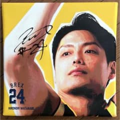 栃木ブレックスパネルKG様専用のサムネイル