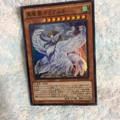 真竜皇マリアムネのサムネイル