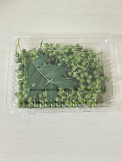 朝採り山椒　40g程度　4パックのサムネイル