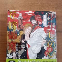 少年しのび花嫁御寮のサムネイル