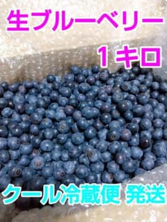 ブルーベリー １キロ クール(冷蔵)便 発送のサムネイル