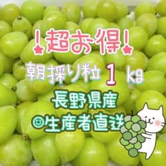 1キロ粒★長野県産☺︎︎生産者直送☺︎︎シャインマスカットのサムネイル