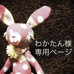 わかたん様専用ページのサムネイル