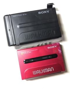 可動も参考品:伝説