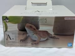 一番くじ 爬虫類＆両生類 A賞 フトアゴヒゲトカゲ フィギュアのサムネイル
