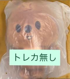 ハン　バックパック　リュックサック　トレカなし　6期　ペンミ　スキズ straykids 6期 ペンミ 韓国 バックパック ハン トレカなし - メルカリ