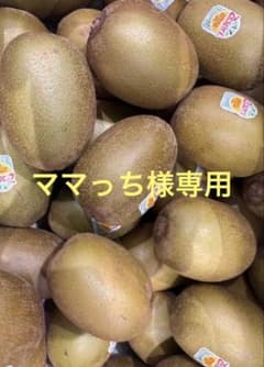ママっち様専用 サンゴールドキウイフルーツ27玉44個入✖︎2ケース