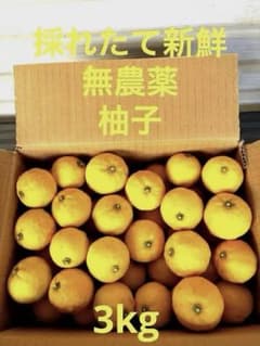 柚子のサムネイル