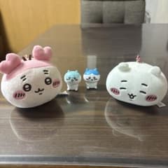 소독 완료 치카와 4 점 세트