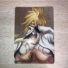 BLEACH トレーディングカード ティア・ハリベル
