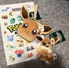 新品】ポケパーク カントー ぬいぐるみ イーブイ カーニバル衣装 2体