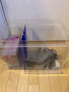 かんたん槽　水槽　日海センター　NK45 中古 海水魚用　熱帯魚用 かんたん槽 水槽 日海センター NK45 中古 海水魚用 熱帯魚用 - メルカリ