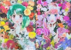 マクロスF クリアファイル　ギャラクシーライブ2021 江端理沙のサムネイル